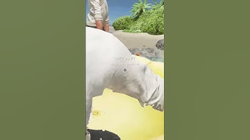 The fire we could of had. // Stranded Deep #shorts