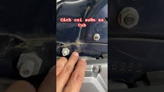 How to see the Cub frame #0933207208 #cub #cub81