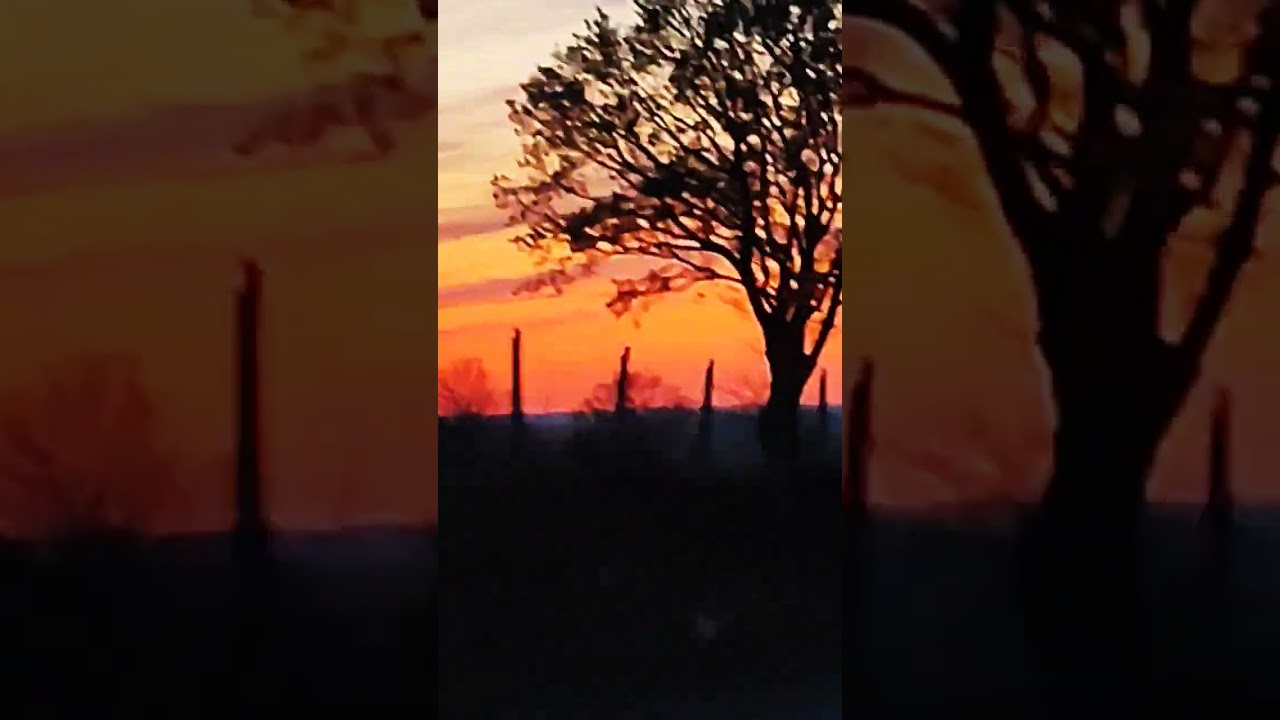 закат. Wildhoney