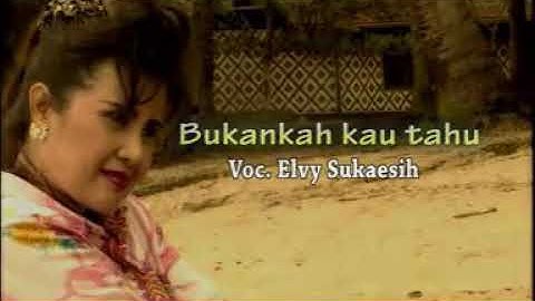 Elvy Sukaesih - Bukankah Kau Tahu (Clip Lirik)