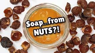 Can These NUTS Replace ALL Your Soap? (Shampoo, Body Wash, Hand Soap)