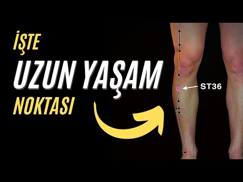 Akupresyon İle Uzun Yaşam Noktası, Migren Tedavisi, Telomer Uzatma, Kabızlık - Bölüm 1