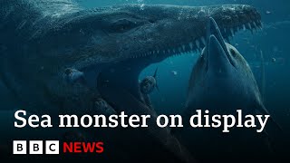 Colossal pliosaur sea monster skull goes on display - BBC News