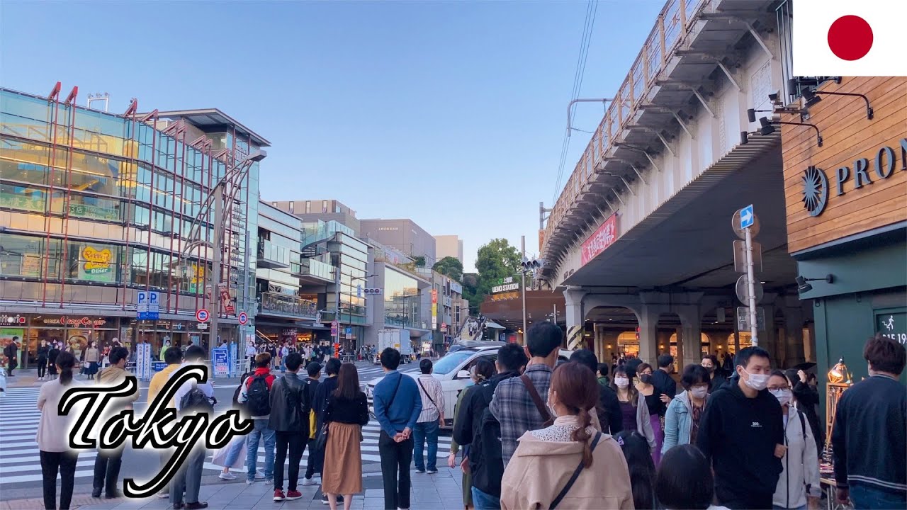 🇯🇵Tokyo Autumn Walk - Ueno -【4K 60fps】