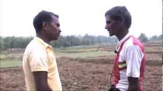 Coriander cultivation for soil fertility Odia VARRAT Odisha