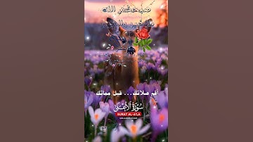 تلاوة خاشعة عطرة مباركة جميلة عذبة للشيخ ماهر المعيقلي ماتيسر من سورة الأعلى