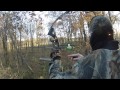 View from the Stand - November 13
