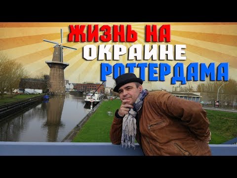 Влог из Голландии. Что можно увидеть зимой. Советы туристам.