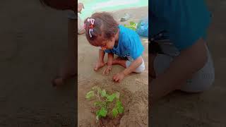 Hoorain Bakhtawar Apny Plants Ki Care Karty Hoy