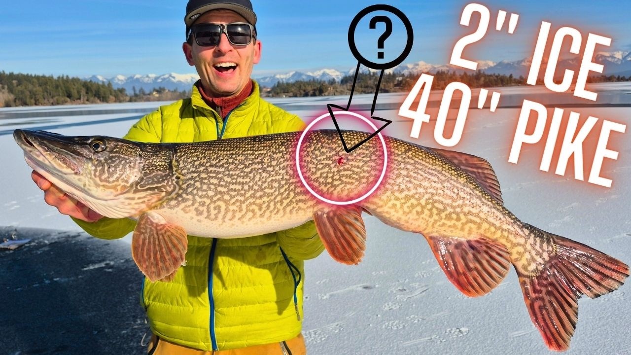 40 Inch Pyke SKETCHY 2 Inches of Ice for a 40 INCH PIKE! (Flathead Lake) - YouTube