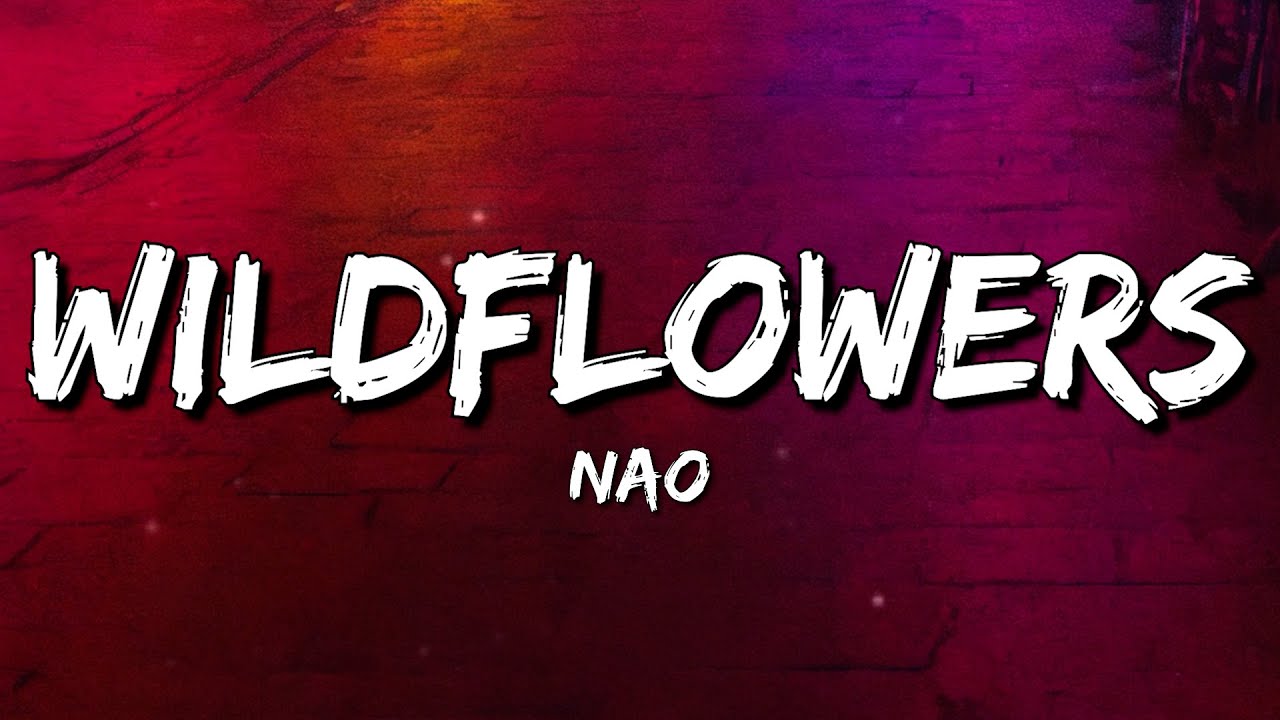 Nao - Wildflowers (Lyrics)
