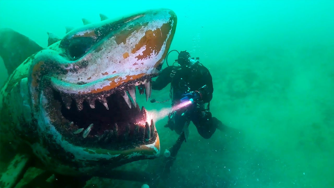 i found the megalodon..