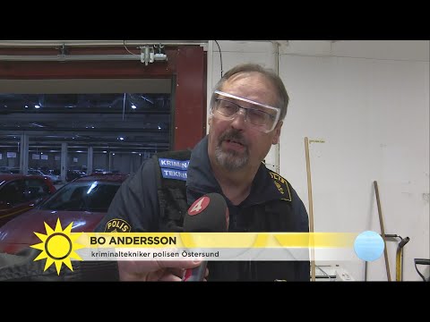 Video: Hur Du Skyddar Ditt Husdjur Från Giftiga Blågröna Alger