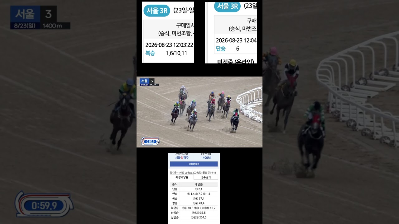37배또적중  역씨돈되는축마잘잡아돼