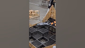 Future Pet Or Military Tech? #quadruped #robot