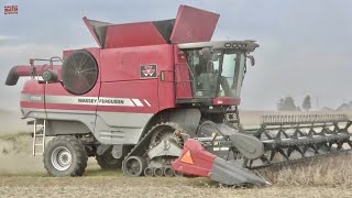 MASSEY FERGUSON 9520 Combine on Tracks