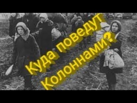Куда будут эвакуировать москвичей