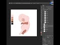 Digital painting of a pencil sketch in Photoshop of a human embryo.