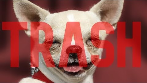 Watchdog is a Flawless Anticheat