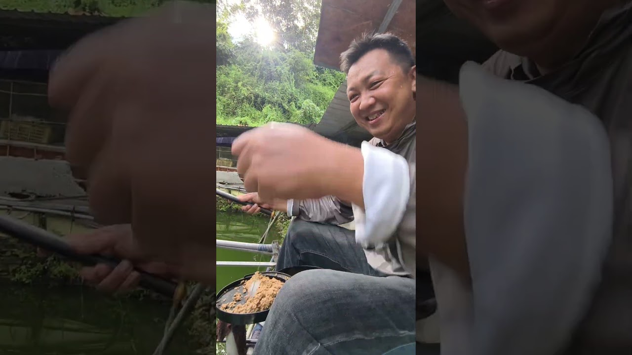 調皮的魚,水不深魚有力,烤魚也很好吃,怕噴掉反彈敲到屋簷,拿出我最硬的竿#林內好朋友魚池 @cdkr 縮圖