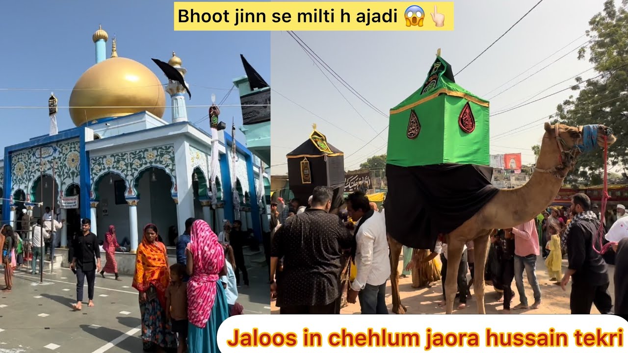 Hussain tekri jaora city me chehlum kis tarah se manate h hindu muslim itna famous q h chul 😱👆🏻