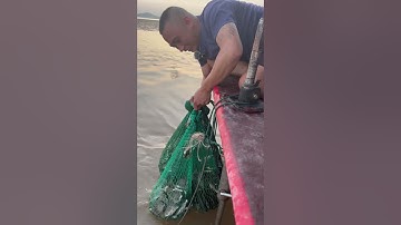 Trải nghiệm bắt cá | Ngư dân trúng bầy cá hói , cá nâu.