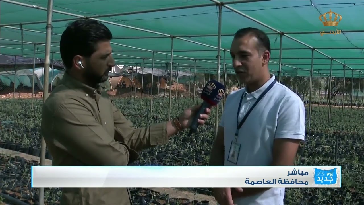 محطة الحسين الزراعية لإنتاج أشتال الزيتون