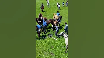 Дикий жеребец. Поймать и объездить! Казахский джигит