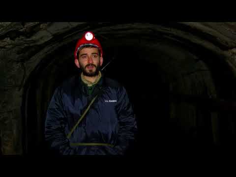 21 წლის მეშახტე ტყიბულიდან