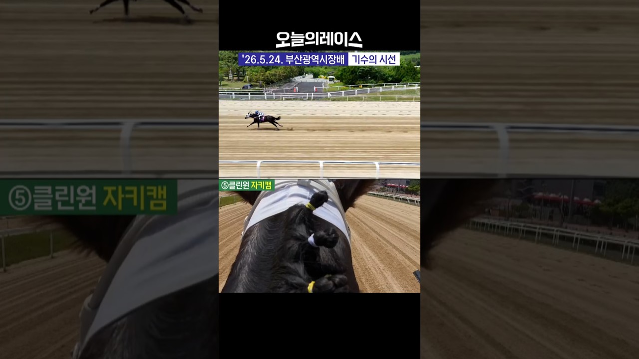 우승마의 시선! 클린원! #경마