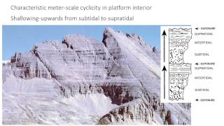 24 - Carbonate platforms