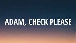 Owl City - Adam, Check Please (Lyrics)