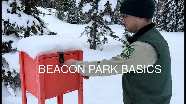 Avalanche Beacon Park Basics