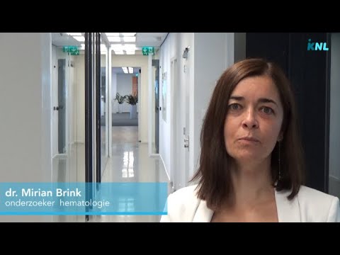 Video: Verschil Tussen Myeloom En Lymfoom