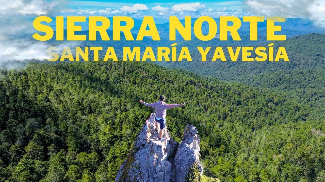 Los hermosos bosques de la Sierra Norte de Oaxaca - Santa María Yavesía.