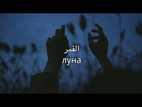    مترجمة