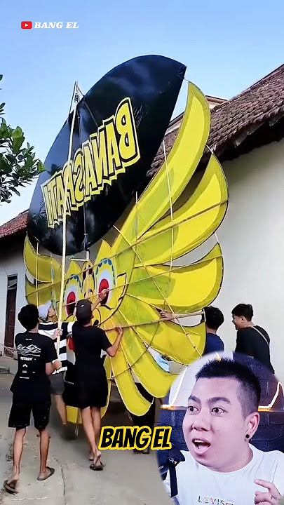 The big ram raman kite flies really smoothly and is really cool #shorts #reactionvideo #react #el...