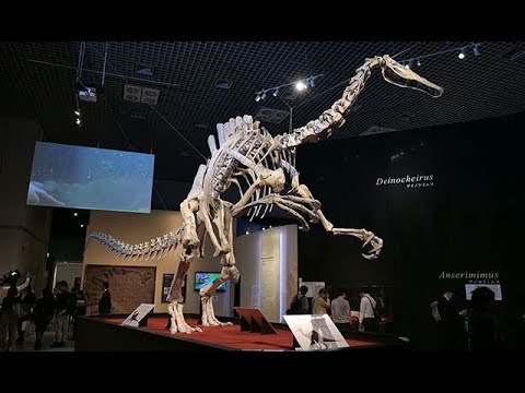 「恐竜博２０１９」が報道公開＝国立科学博物館