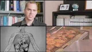 Would you eat Frankenmeat? Lab grown meat contest from PETA