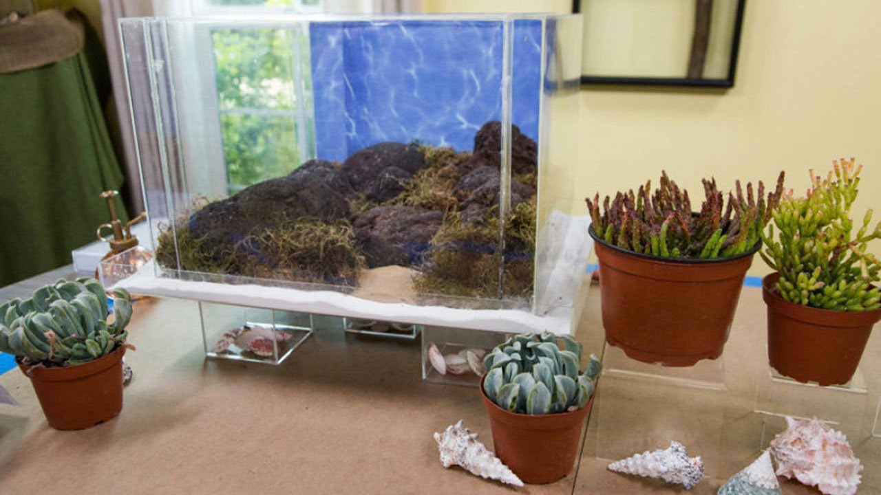 aquarium planter