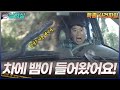 [세상실험] 자동차에 들어간 뱀의 애태우는 숨바꼭질  [특종 사건파일] | KBS 20010926 방송