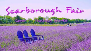 Scarborough Fair 斯卡布罗集市 by Fantasy World