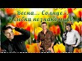 Весна в Душе… ❤ Позитив) ❤ Короткие и очень красивые весенние статусы.