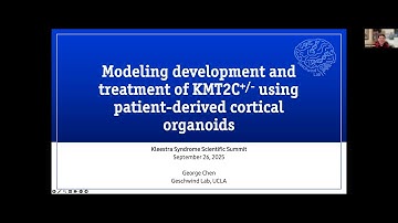 Modeling development and treatment of KMT2C-mutations using patient-derived cortical organoids