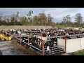 Outdoor Cubicles Review / No Roof No Worries!