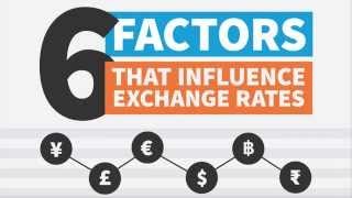 What Influences Exchange Rates?