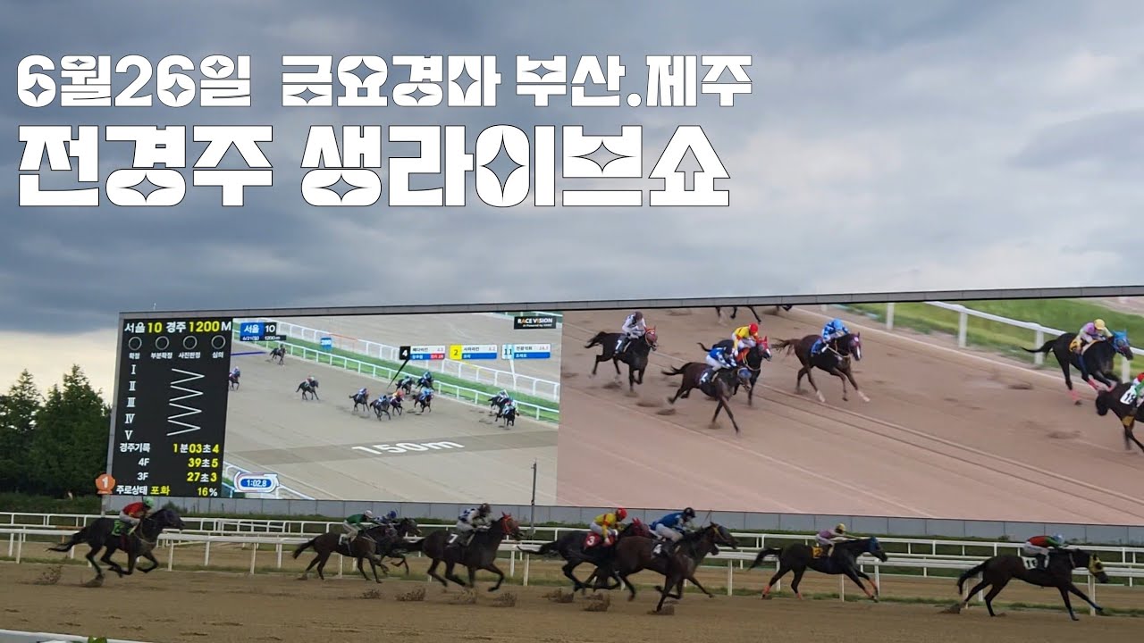 6월 마지막주 금요경마 부산.제주 전경주 생라이브쇼 