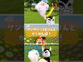 サンサンやくもりんとかくれんぼ!★サンサンキッズTV★#shorts #ai #かくれんぼ