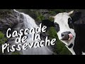 🇨🇭Водоспад  &quot;Пісаюча корова&quot;. Cascade de la Pissevache. Switzerland🇨🇭