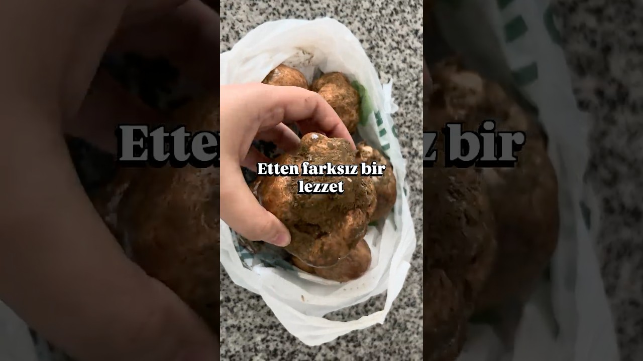 Etten farksız biz lezzet #shorts #yemek #yemektarifleri #lezzet #domalanmantarı #kememantarı #tarif Etten farksız biz lezzet #shorts #yemek #yemektarifleri #lezzet #domalanmantarı #kememantarı #tarif